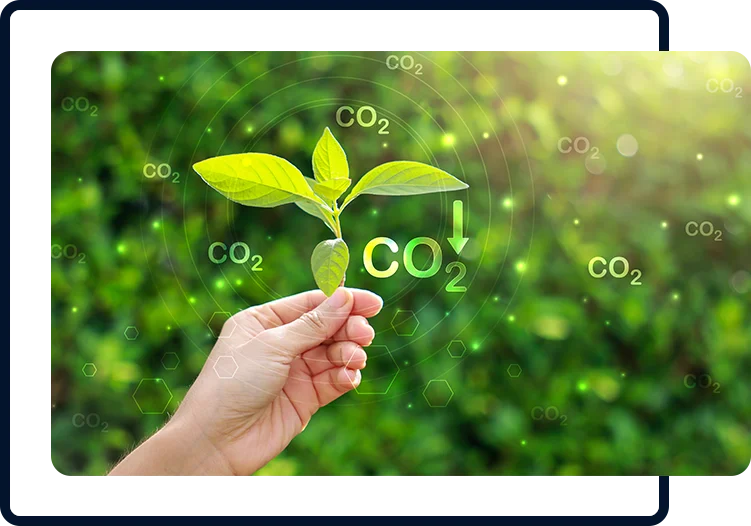 sustainibilty commitments